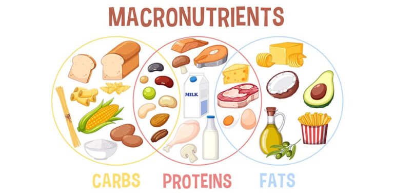 🌱 Μικροθρεπτικά συστατικά: Βιταμίνες, μέταλλα και νερό